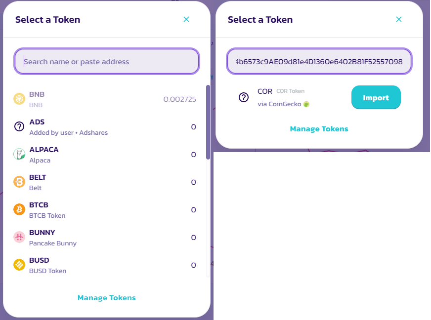 BSC Token List